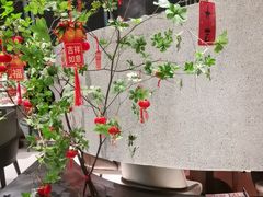 -新兴·金羊座·粤菜点心(乐峰店)