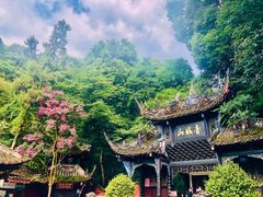 门面-青城山