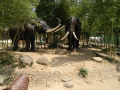 -揭东万竹园旅游景区