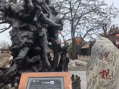 -大槐树寻根祭祖园