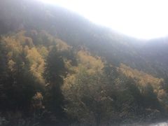 -米堆冰川
