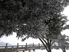 -长沙黑麋峰国家森林公园