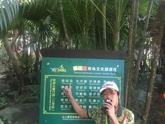 -呀诺达热带雨林