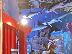 -烟台海昌鲸鲨海洋公园