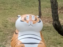 -香雪海