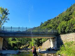 -北仑森林植物园