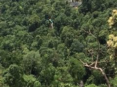 丛林飞跃-清迈丛林飞跃 JungleFlight