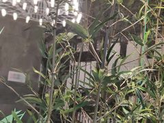 -茅庐毛血旺(临沂泰盛广场店)