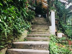 -懒鱼时光馆(沙坪坝店)