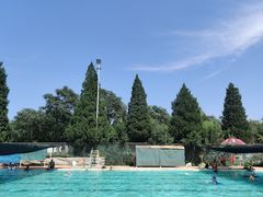 -昌平体育局室外游泳馆