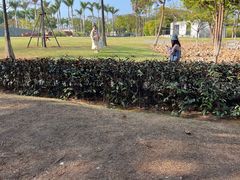 -厦门园林博览苑
