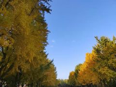 -玲珑塔公园