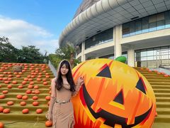 -灵玲国际马戏城