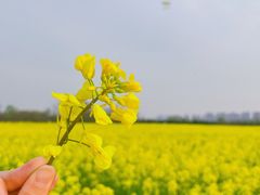-汉长安城未央宫国家考古遗址公园