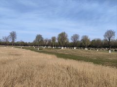 -汉长安城未央宫国家考古遗址公园