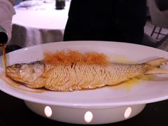 新派酥姜煎鲥鱼-海味观(老西门店)