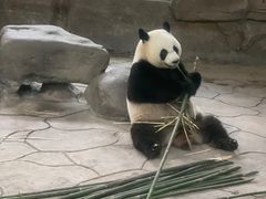 -宁波野生动物园