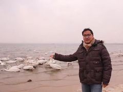 -烟墩角天鹅湖