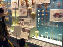 -贝林大翅鲸简餐厅(国家海洋博物馆店)