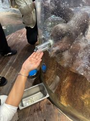 -Zoolung Zoolung动物主题公园(海信广场店)