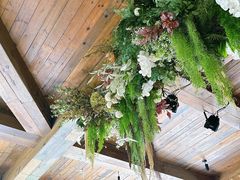 -一棵树·意大利西餐厅One Tree(新城店)