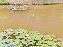 -东莞植物园