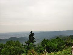 -雨花胜境