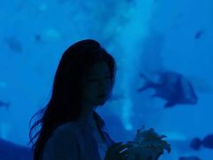 -亚特兰蒂斯•OSSIANO奥西亚诺海底餐厅