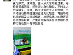 -诺威宠物医院(官邸分院)