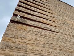 -盘龙城国家考古遗址公园