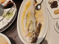 -羲和雅苑•北京烤鸭(陆家嘴中心店)