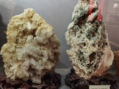 -陕西自然博物馆