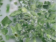 -光头羊肉汤(双阳路店)