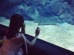 -暹罗海洋世界