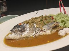 -凤凰湘语(浦东旗舰店)