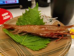 -京樽回転寿司(奥林匹克店)