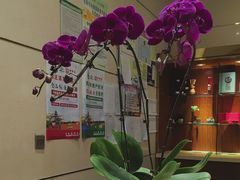-凯宾斯基大酒店·三楼御龙轩中餐厅
