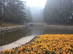 -庐山风景区花径公园