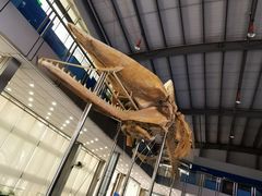 -上海海洋大学鱼文化博物馆(军工路校区)
