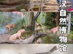 -武汉园博园(武汉自然博物馆)