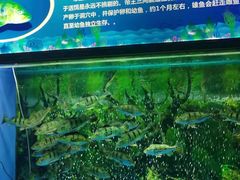 -大明湖海底世界