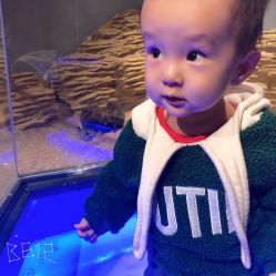 -未来动物城动物主题公园(大悦城店)