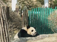 -大连森林动物园