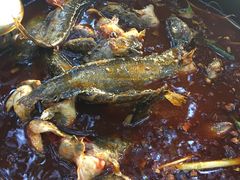 -金海椒罐罐鲢鱼(东方桂苑店)