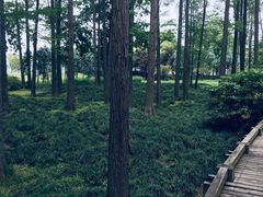 -月湖风景区