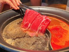 -温野菜涮涮锅(曲江大悦城店)