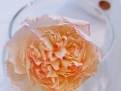 -眉州东坡(亚运村店)