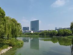 -大兴滨河森林公园