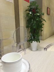 -银座Calla日式美容沙龙