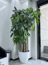 -悟空祛痘·诺奖技术专业店